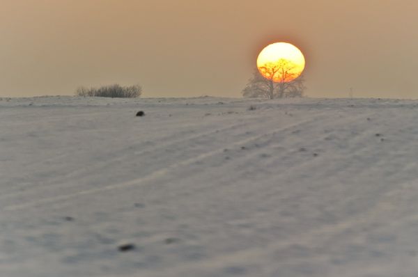 Będzie cieplej, ale nadal na minusie - zobacz prognozę