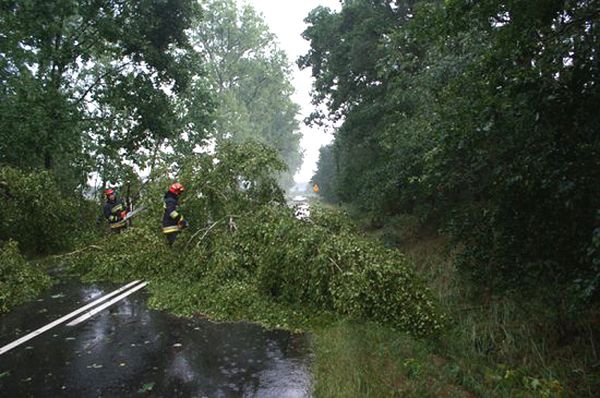 Zalane budynki, złamane drzewa, zerwane linie energetyczne - burze przeszły przez Wielkopolskę