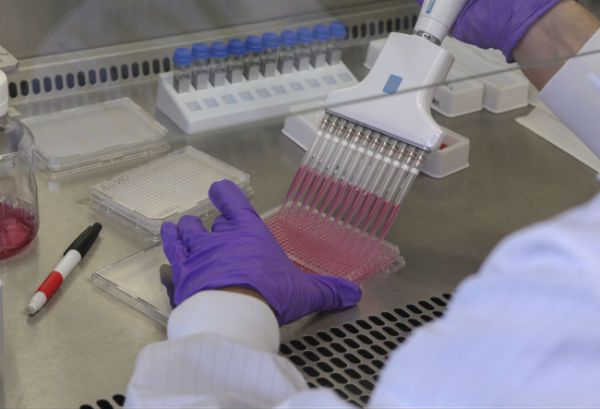 W Oksfordzie ruszyły testy szczepionki na Ebolę