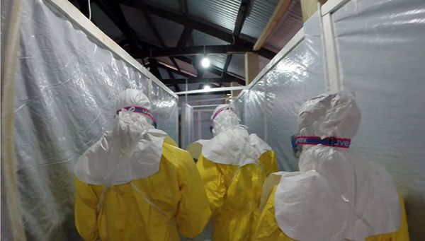 Eksperymentalny lek na Ebolę skuteczny? Wszystkie zakażone małpy przeżyły