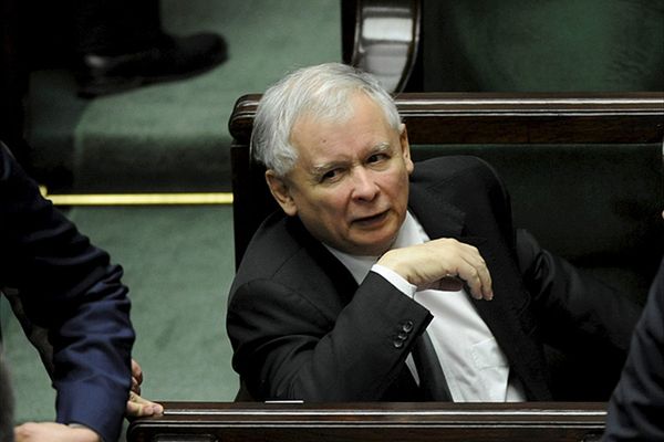 Jarosław Kaczyński napisał list do Donalda Tuska ws. hodowców świń