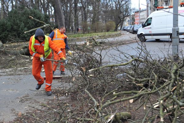 Po wichurach nad Polską: ponad 5,6 tys. strażackich interwencji