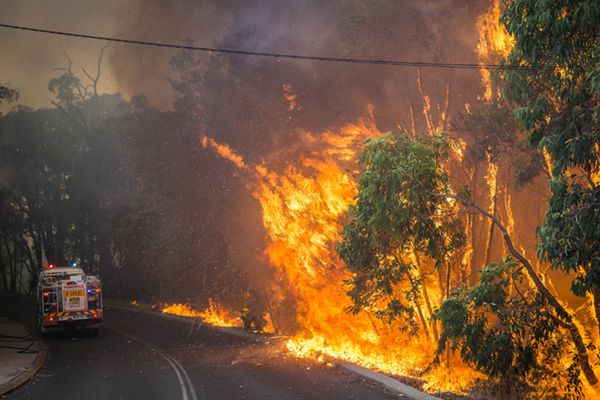 Pożary lasów w Australii. Zginął mężczyzna, 49 domów spalonych
