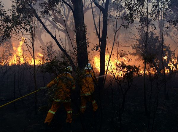 Katastrofa w Australii. Samolot służący do gaszenia ognia runął na ziemię. Nie żyje pilot