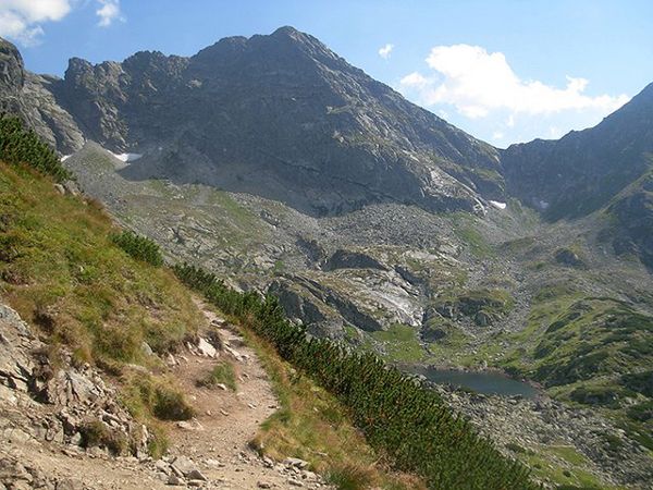 W Tatrach zaobserwowano nietypowy dla tych gór gatunek motyla