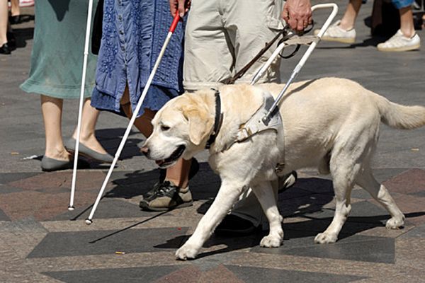 750 osób w Rzymie podejrzanych o udawanie niewidomych