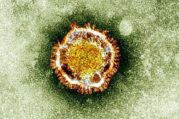 WHO: koronawirusy nowym zagrożeniem dla całego świata