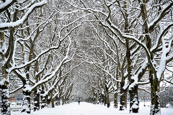 Temperatura w nocy z piątku na sobotę spadnie do - 22 stopni Celsjusza