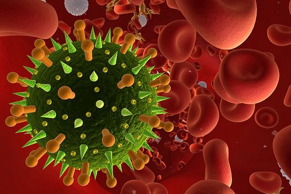 Prof. Lidia Brydak: temperatura ujemna sprzyja przetrwaniu wirusa grypy