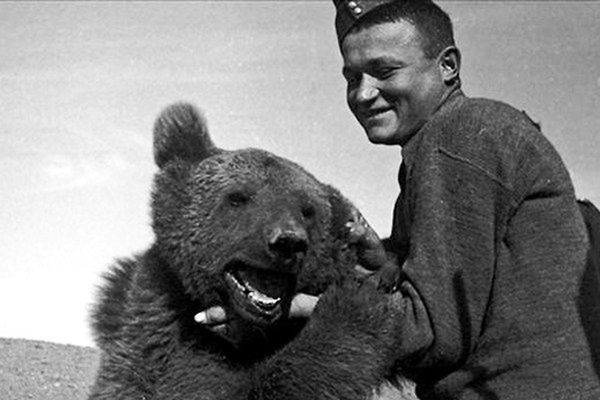 Legendarny niedźwiedź Wojtek z Armii Andersa będzie miał dwa pomniki