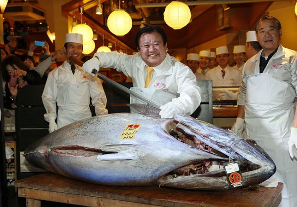 Japończyk kupił tuńczyka za 1,38 mln euro