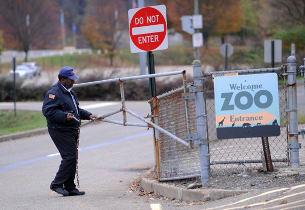 2-letni chłopiec zginął w zoo w Pittsburghu na wybiegu dla dzikich psów