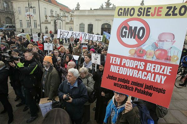 Sprawa GMO. Senat przyjął ustawę o nasiennictwie