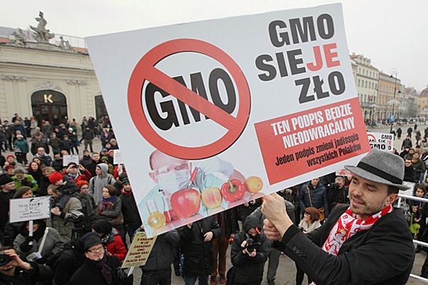 Doradca prezydenta ds. rolnictwa: GMO w Polsce jest nieuniknione