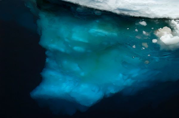 Znaleziono bakterie głęboko pod lodami Antarktydy