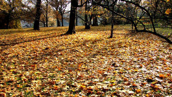 Piękny jesienny krajobraz