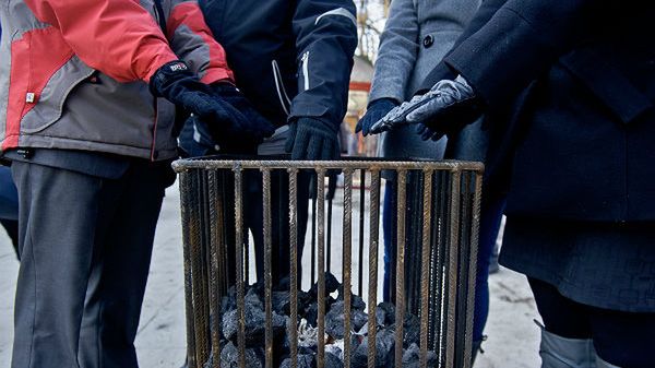 Koksowniki na jednym z przystanków autobusowych