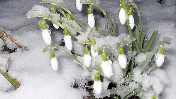 Zima nie powiedziała jeszcze ostatniego słowa
