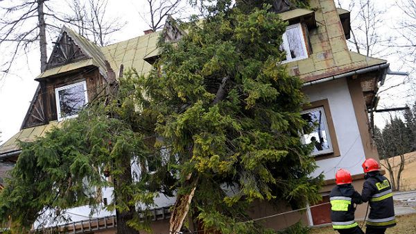Strażacy usuwają zniszczenia w Zakopanem. Silny wiatr połamał drzewa i zerwał linie energetyczne
