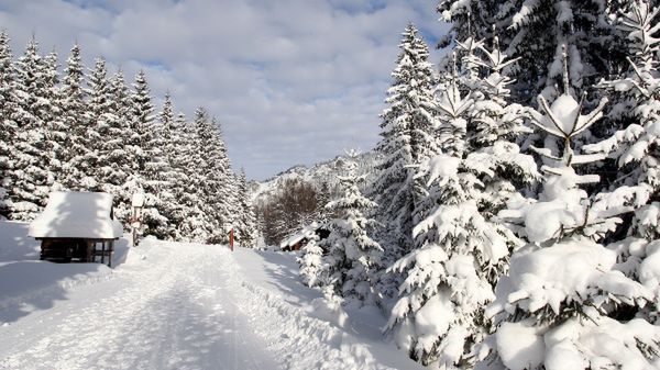 Zimowy krajobraz w rejonie Kuźnic w Zakopanem