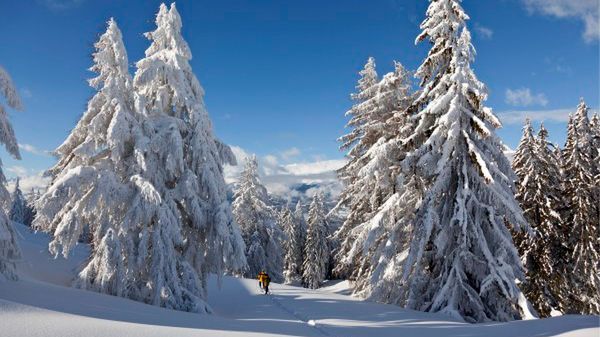 Służby górskie ostrzegły przed podwyższonym zagrożeniem lawinami