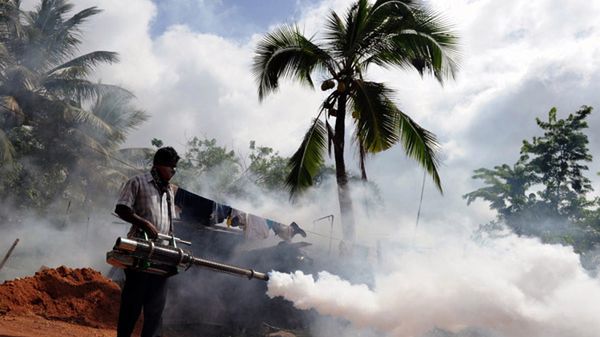 Władze Sri Lanki walczą z plagą komarów