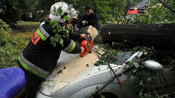 Samochód przygnieciony przez drzewo po nawałnicy