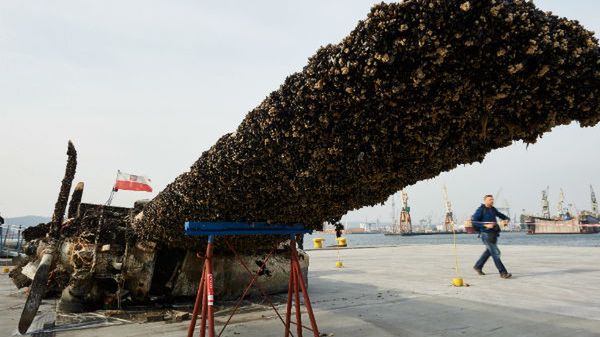 Wrak amerykańskiego bombowca Douglas A-20