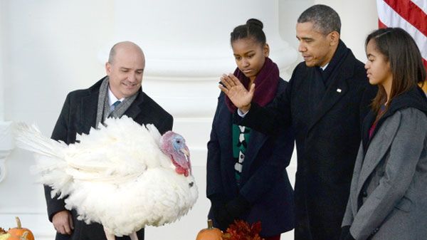 Prezydent Obama ułaskawił indyka