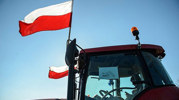 Protest producentów trzody chlewnej w związku z problemami ze sprzedażą wieprzowiny po wykryciu dwóch przypadków afrykańskiego pomoru świń u dzików