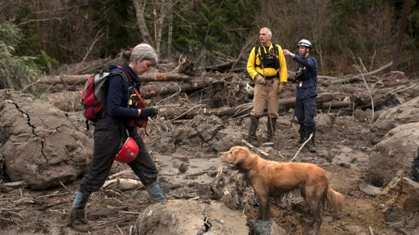 Ekipy ratunkowe pracują w wyjątkowo ciężkich warunkach