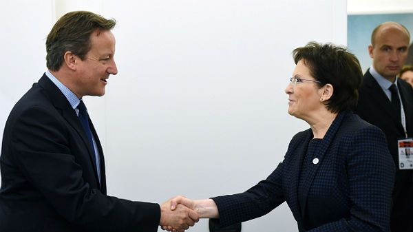 Premier Ewa Kopacz i premier Wielkiej Brytanii David Cameron