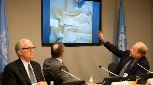 David M. Crane, Gerard Araud i Stuart Hamilton, który przedstawia raport na temat zdjęć wywiezionych z Syrii