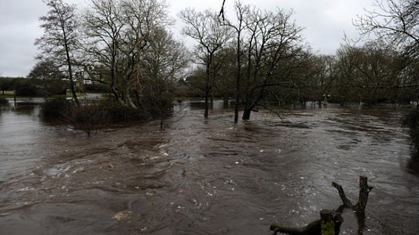 Rzeka Lymington w okolicach Brockenhurst