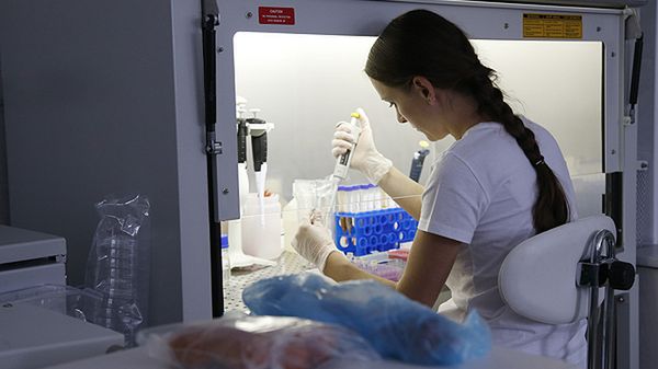 Badania mięsa w Czechach