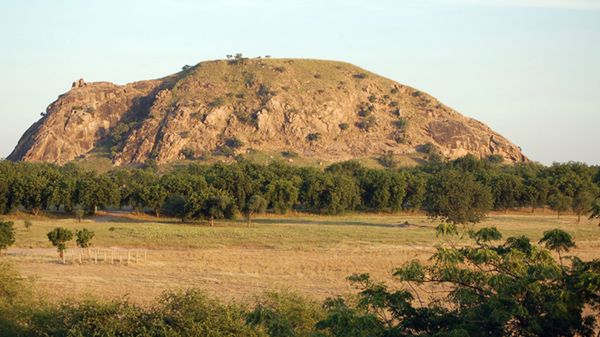 Park Narodowy Waza w Kamerunie, w rejonie którego doszło do porwania