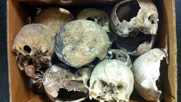 W domu mężczyzny znaleziono 56 ludzkich czaszek