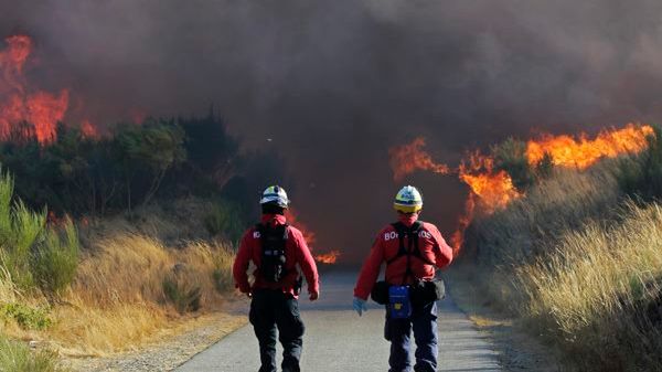 W gaszeniu ognia bierze udział 700 strażaków