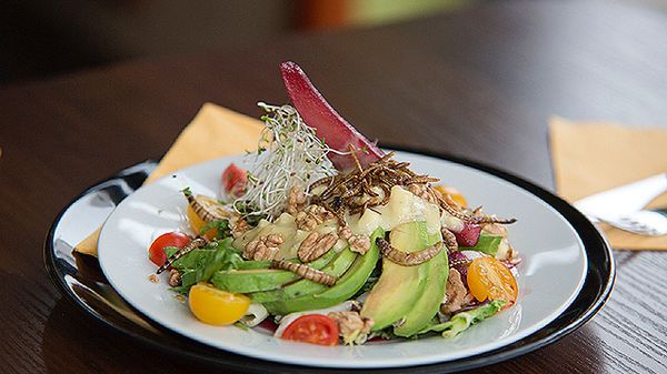 Propozycja z menu restauracji podającej dania z owadów