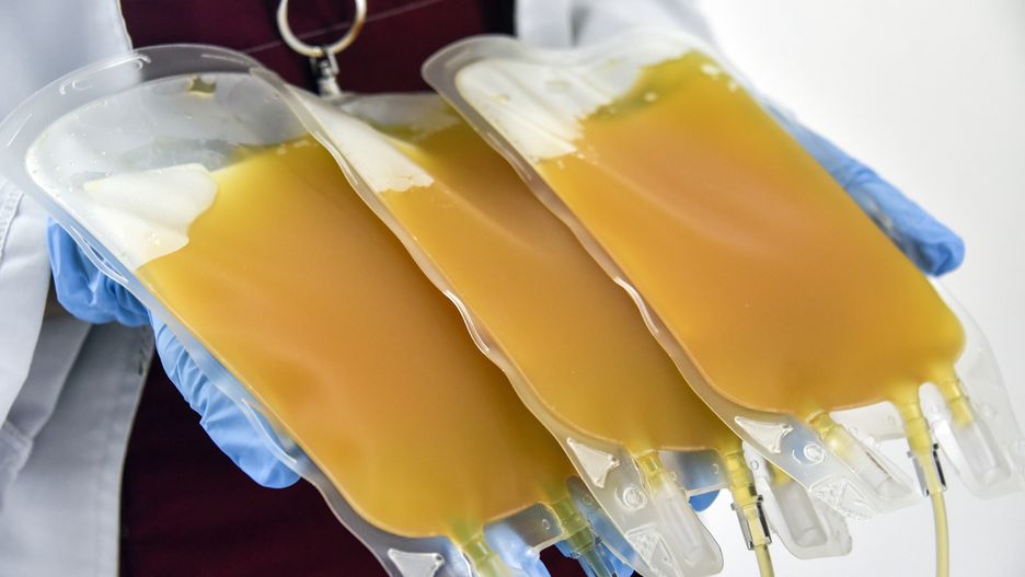 Koronawirus. W Częstochowie nie można oddać osocza