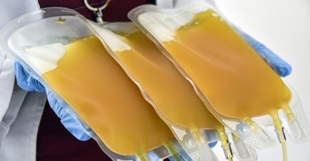 Koronawirus. W Częstochowie nie można oddać osocza. Ozdrowieńcy muszą jechać 80 kilometrów