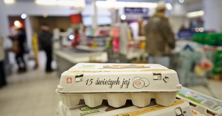 Ważny komunikat Kauflandu. Wykryto salmonellę