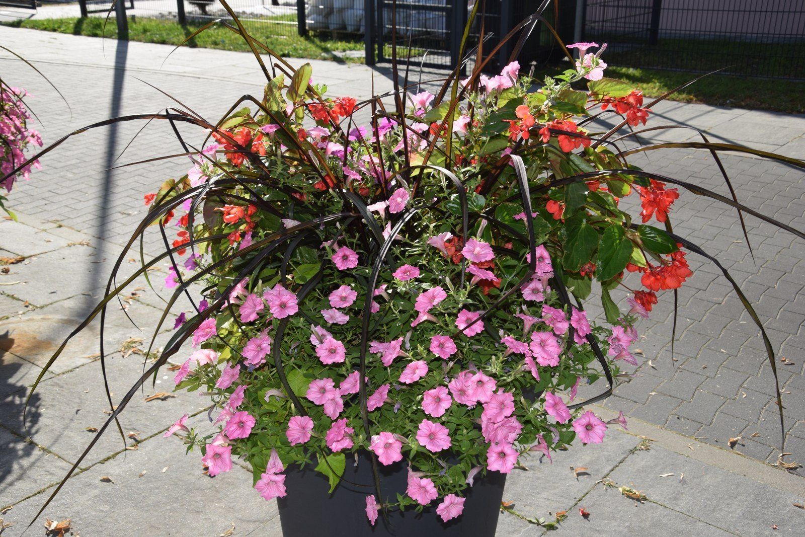 KwiatyWe śnie symbolizują radość i szereg dojrzałych decyzji. Są jak myśl, która rozkwita od pączka do czynu. Należy oczywiście zadbać, aby dojrzały kwiat jak najdłużej utrzymał się na gałązce. Dlatego sny, w których kwiaty są już w pełni rozwinięte symbolizują najlepszy czas do działania.                                                                                         - Kwiaty w doniczkach to oznaka przygotowywania się do nowych działań również społecznych i dla dobra innych, które niebawem zaczniemy realizować.- Widzieć kwiaty cięte to przestroga przed nieuczciwymi ludźmi lub wspólnikiem, który okaże się niewart naszego zaufania.- Sztuczne kwiaty symbolizują kłopoty w związku, które mogą zakończyć się rozstaniem partnerów.- Zasuszony bukiet kwiatów zwiastuje uczucia, które wymagają od nas większego zainteresowania druga osobą, aby nie straciły na swojej dalszej świetności.- Kwiaty białe to znak żałoby, symbol zbliżającej się choroby, która na pewno zakończy się smutkiem dla bliskich.- Kwiaty kolorowe zwiastują wiadomości dotyczące narodzin dziecka oraz czas przygotowań z tym związanych.- Polne kwiaty to symbol radości i pozytywnego zaskoczenia z powodu spotkania z dawno nie widzianą osobą.Czerwone róże we śnie oznaczają poczucie bezpieczeństwa:w uczuciach to rychłe za mąż pójściew karierze zwiastuje awans na kierownicze stanowiskow zdrowiu wskazane badanie krwi