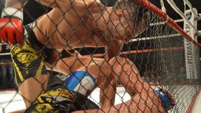Znany zawodnik MMA skazany na rok więzienia