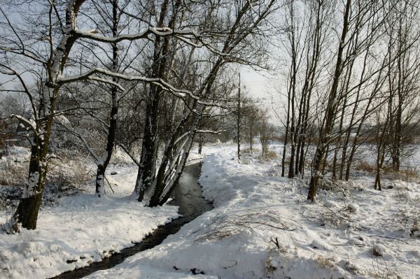 Tylko w weekend w pożarach zginęło 15 osób