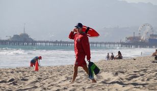 Praca na wakacje. Można zarobić nawet do 50 zł za godzinę