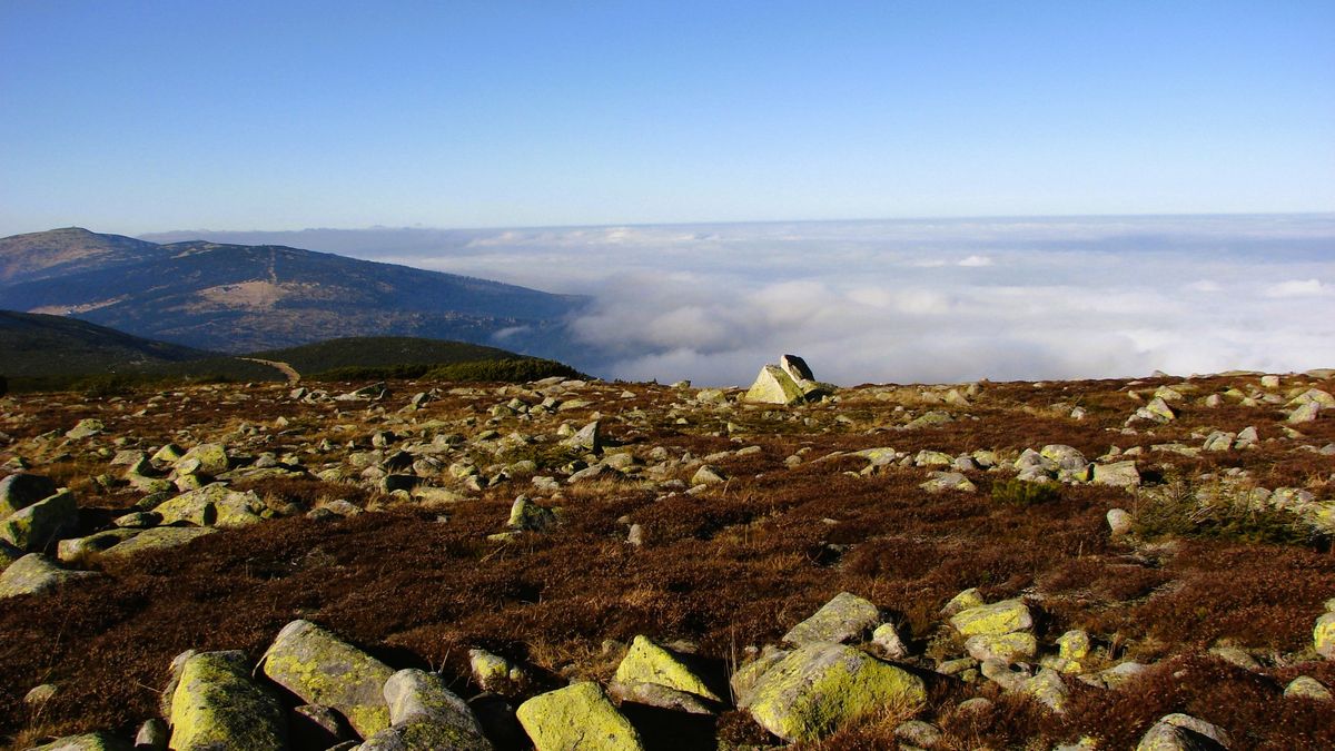 Widok na Karkonosze.