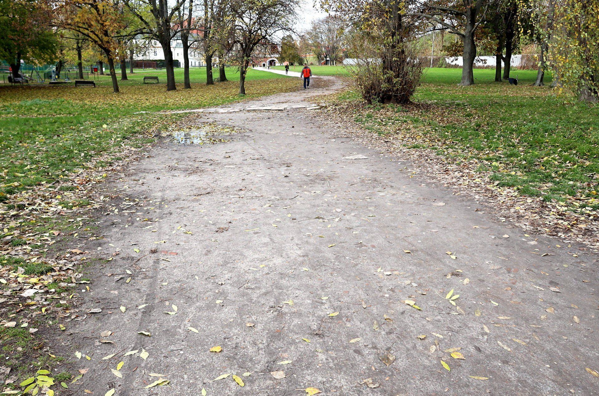 &#34;Zielony azyl&#34; - taki charakter mają mieć w przyszłości teren błoni przy lubelskim zamku. Wykonanie zmian ma zająć prawie dwa lata. Prace nie będą tanie. Trzeba będzie na nie wydać co najmniej 17,2 mln zł.