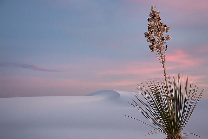 Znamy zwycięzców konkursu International Garden Photographer of the Year 2016 2