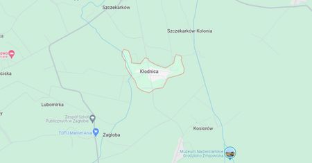 Coś wystawało z gruzu. Nastolatek odkrywcą cennego znaleziska